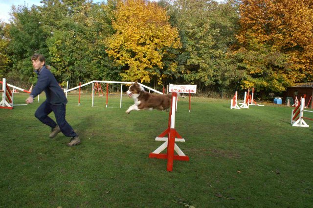 agility 2011-10-30